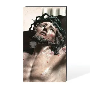 tela personalizzabile 1002 2
